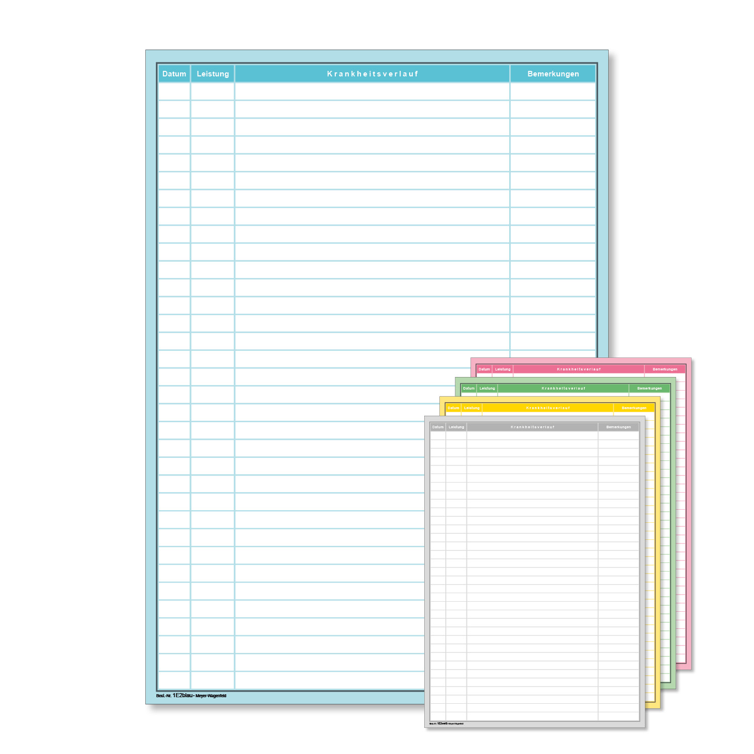 Einlegebogen für Karteitaschen, Muster 1E2 Einlegebogen für Karteitaschen, Muster 1E2